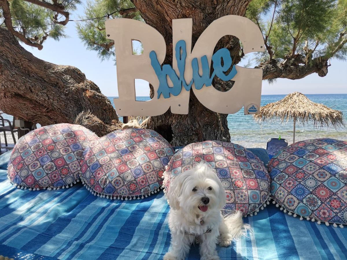 Apartment Big Blue Bar &
