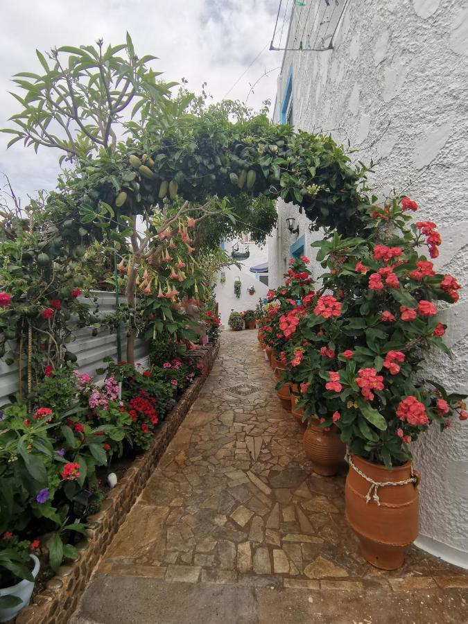 βig βlue Makrýgialos