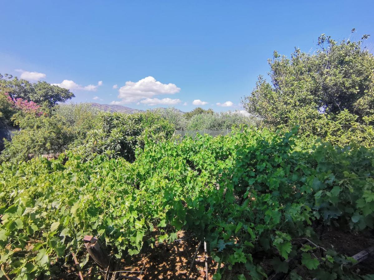 Appartement βig βlue Makrýgialos