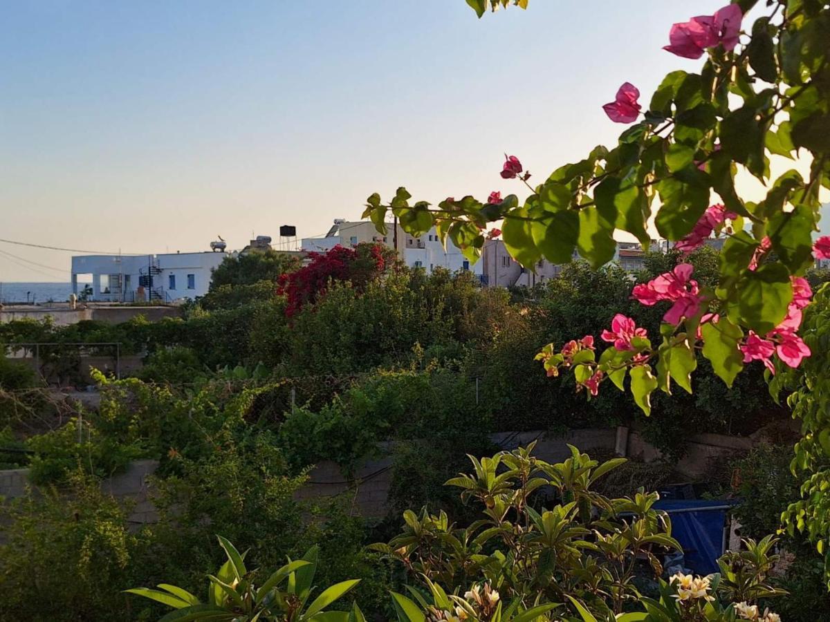 Appartement βig βlue Makrýgialos