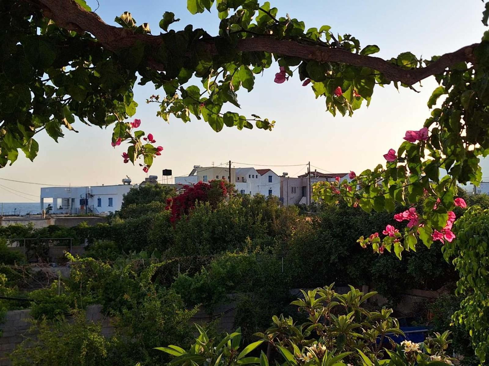 βig βlue Appartement Makrýgialos