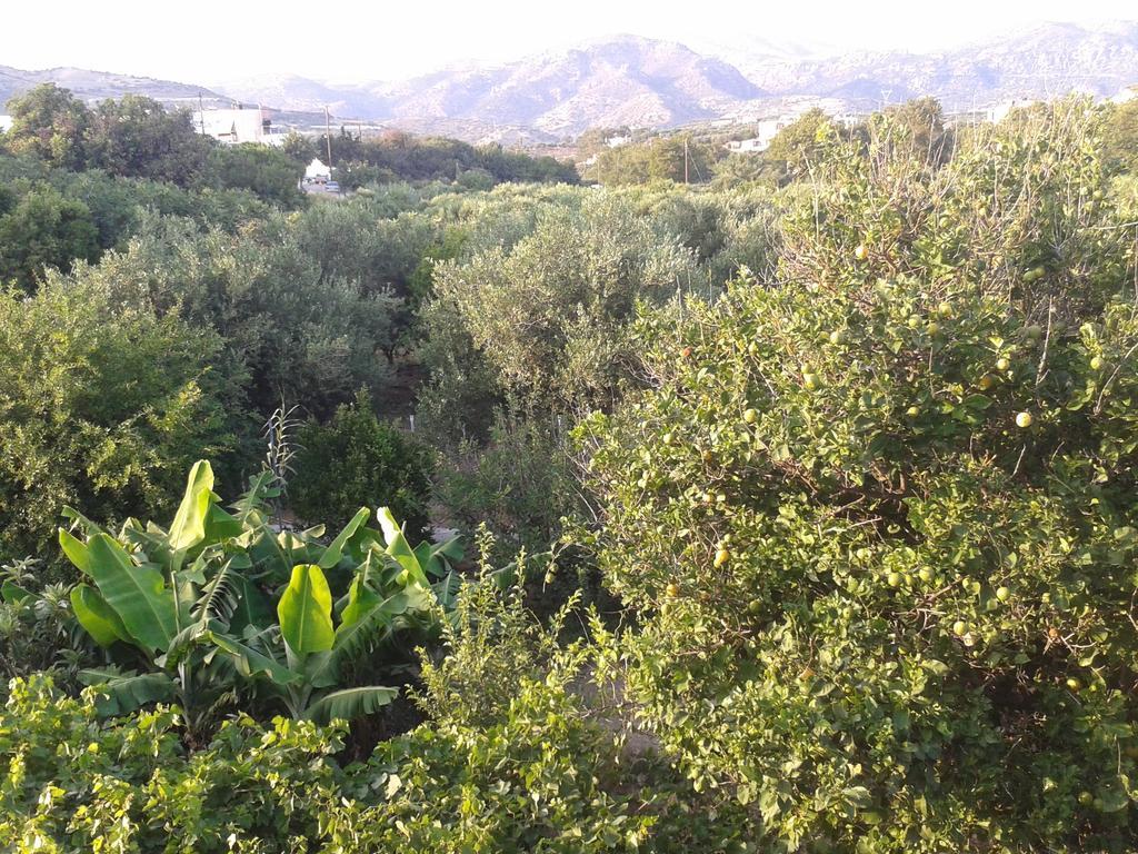 βig βlue Makrýgialos